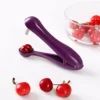 Cherry Pitter – Cherry & Olive Pit Remover