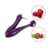 Cherry Pitter – Cherry & Olive Pit Remover