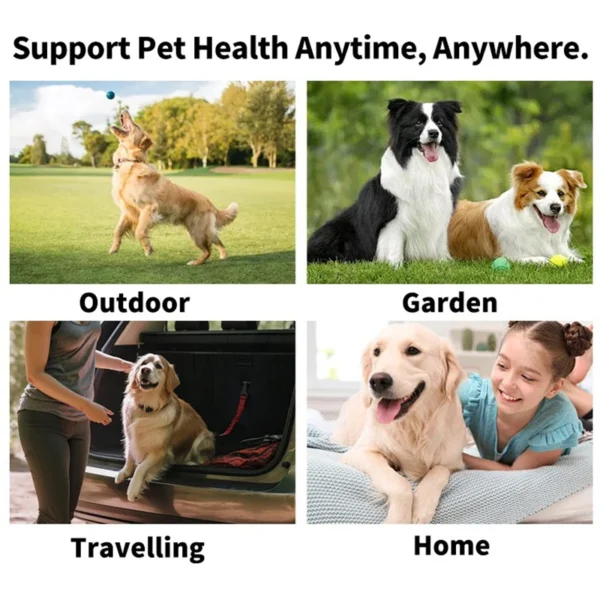 Pet Teeth Cleaning Finger Covers Wet Wipes Dog and Cat Oral Cleaning
