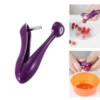 Cherry Pitter – Cherry & Olive Pit Remover