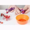 Cherry Pitter – Cherry & Olive Pit Remover