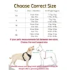 Adjustable Dog Harness – Comfortable Strong Vest for Small to Large Dogs
