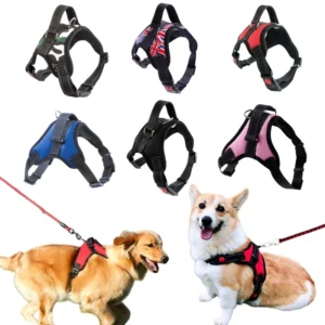 S4b81d81947a94201b8aab034e16fad83v.webp Adjustable Dog Harness – Comfortable Strong Vest for Small to Large Dogs