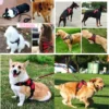 Adjustable Dog Harness – Comfortable Strong Vest for Small to Large Dogs