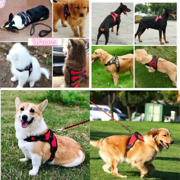 Adjustable Dog Harness – Comfortable Strong Vest for Small to Large Dogs