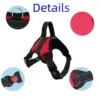 Adjustable Dog Harness – Comfortable Strong Vest for Small to Large Dogs