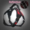 Adjustable Dog Harness – Comfortable Strong Vest for Small to Large Dogs