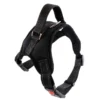 Adjustable Dog Harness – Comfortable Strong Vest for Small to Large Dogs